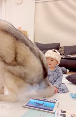 隣に腰を下ろすセナくん