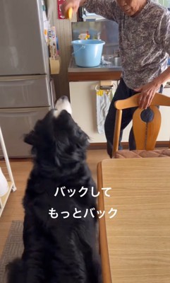 お座りしたまま下がる