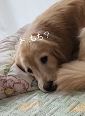 「今日はお餅?」