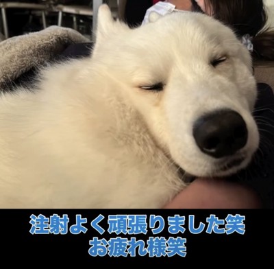 よく頑張りました！