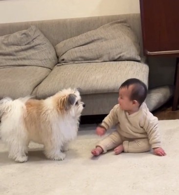 見つめ合うふたり