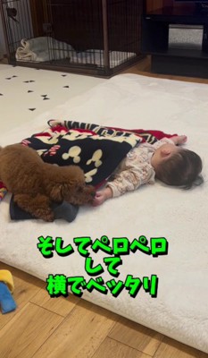 「ちゃんと眠れてるかな?」