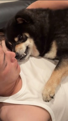 牙を向いたまま息子さんに甘える黒柴