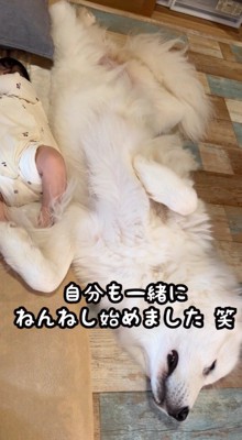 赤ちゃんのそばで眠る犬