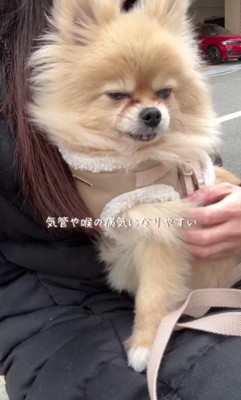 声帯を切られていた