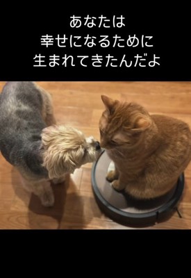 幸せにしたい…