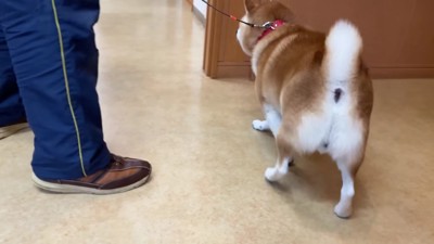 順番が来ちゃった…