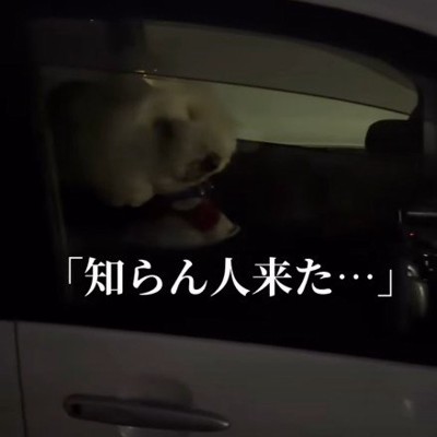 「知らない人が来た…」