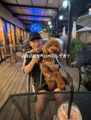 抱っこされる犬