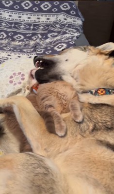 ワゾウスキくん&マイキーくん8