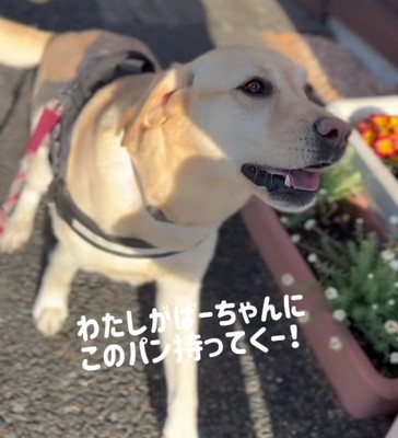 「わたしが持っていく！」