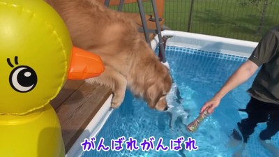 泳ぐのは初めて