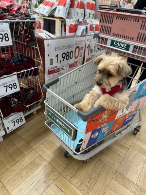 カートのフチに前足をかける犬