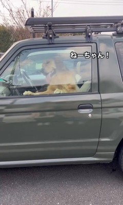 寂しがり屋すぎるトノくん6