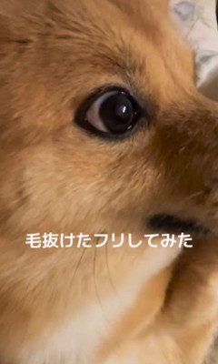 「信じられない…」