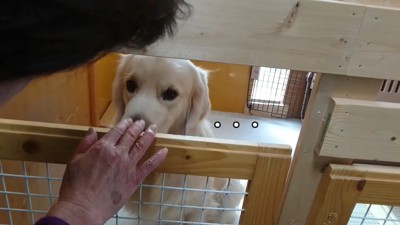 そしてやっぱり無視…