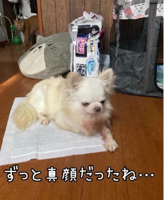 表情が著しく乏しい…