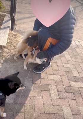 全力愛情表現！