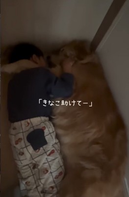 男の子を抱きしめる大型犬2