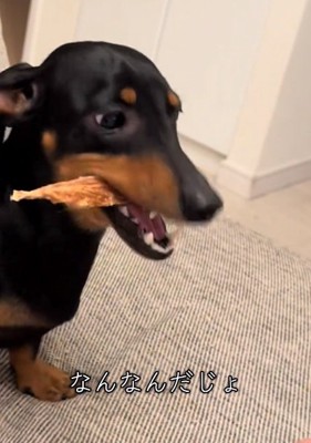 おやつを食べるオーレくん