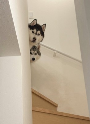 出かけようとしたら