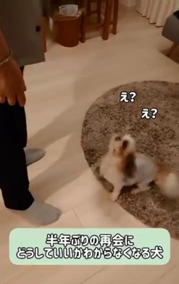 動揺が隠せないリロちゃん