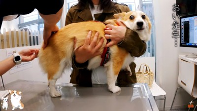 目を見開いて先生をみるつむぎちゃん