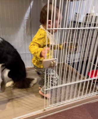 ケージの奥に入っていく
