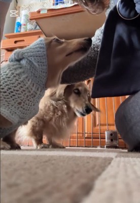 行く気満々で順番待ち