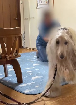 すぐに背中を押したら…