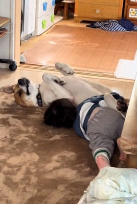 仰向けの大夢くん