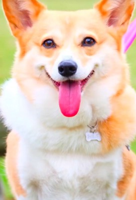 こんなに大きくなりました！