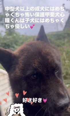 離れたら、寂しそう…