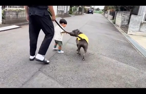 じゃれあうふたり