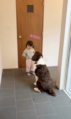 完璧におすわり