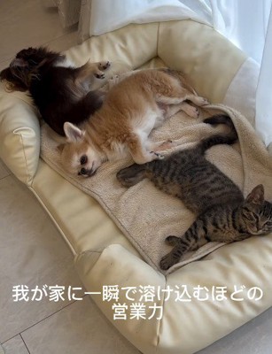 コミュニケーション能力抜群!!