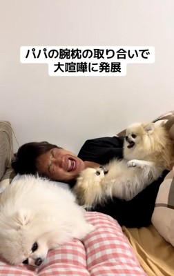 エスカレートする2匹