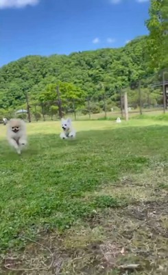 お友達に嫉妬されたむぎ君2