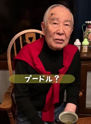 「世界最古の…プードル?」