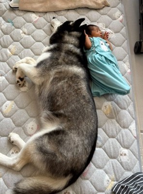 赤ちゃんに寄り添うレイルちゃん