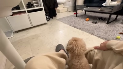 警戒する小殿くん