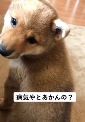 『病気やとあかんの?』