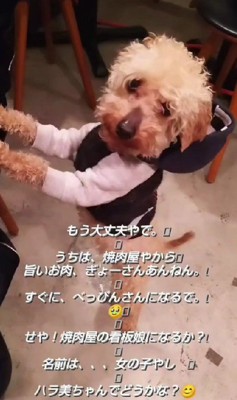 こんなに元気な姿に！