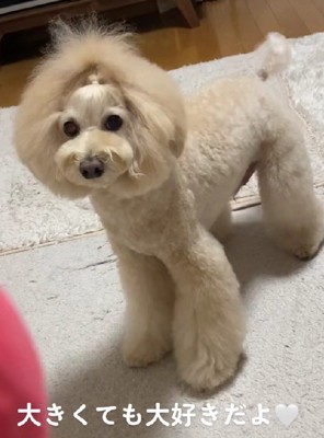 どんな姿でも愛おしい♡