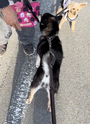 またすぐに会えるといいね