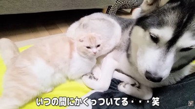 と思いきや、すぐに仲直り♪