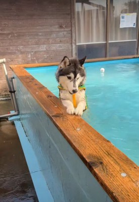 「水ないとこないの…？」