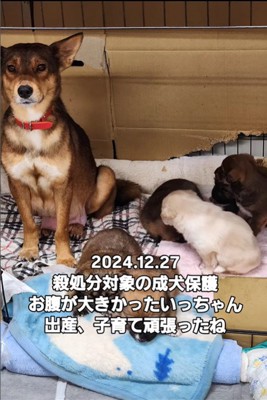 幸せを掴んだいっちゃん＆アロマちゃん2