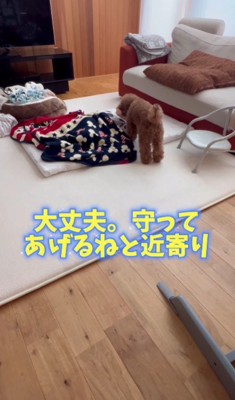 「大丈夫？寝られてる？」