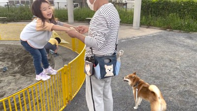楽しそうに遊び続ける女の子